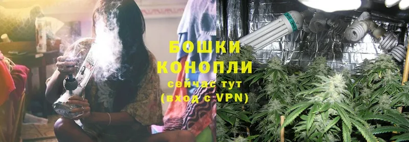 Шишки марихуана SATIVA & INDICA  площадка как зайти  Ардон  магазин   